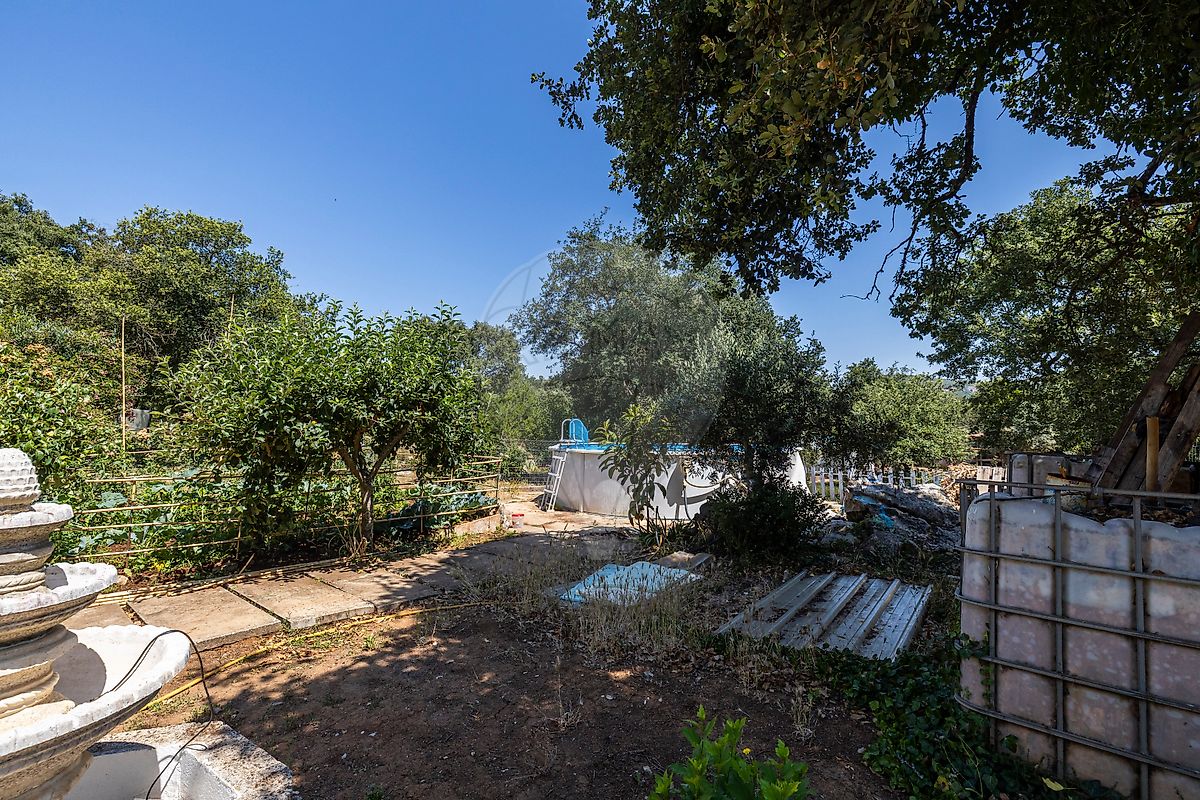 Moradia T3 à venda em Alvados e Alcaria, Porto de Mós — foto 33