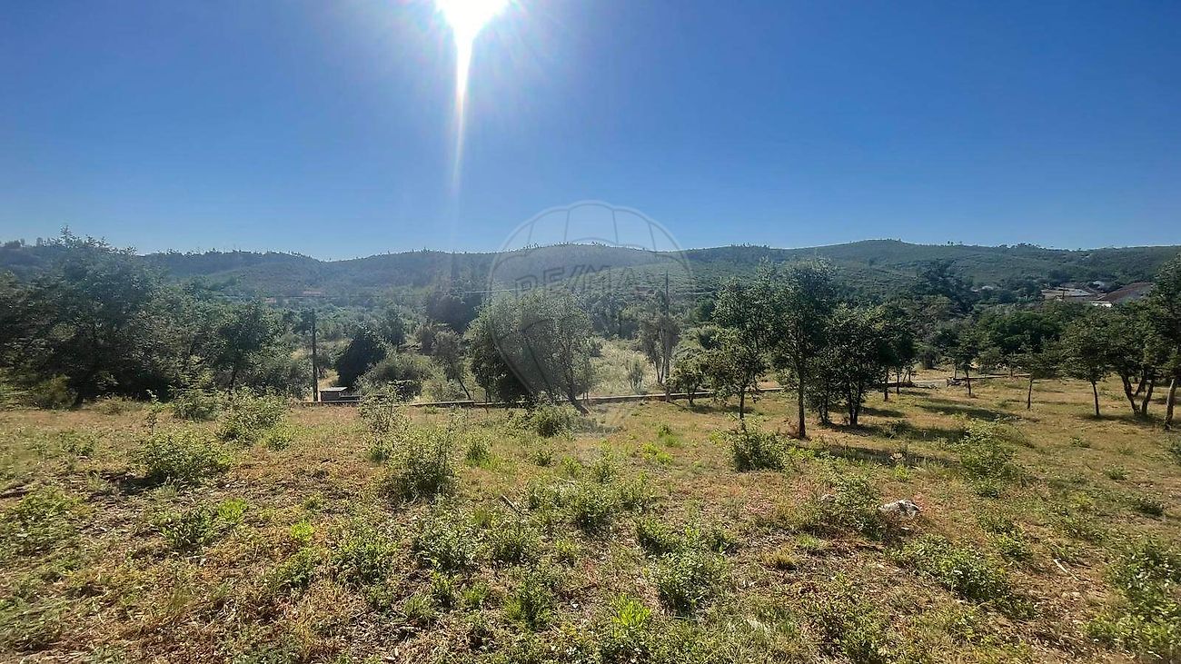 Terreno - Chãos, Ferreira do Zêzere, Santarém