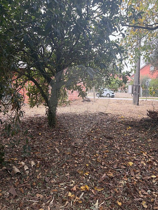 Moradia T4 à venda em Vermoil, Pombal — foto 5
