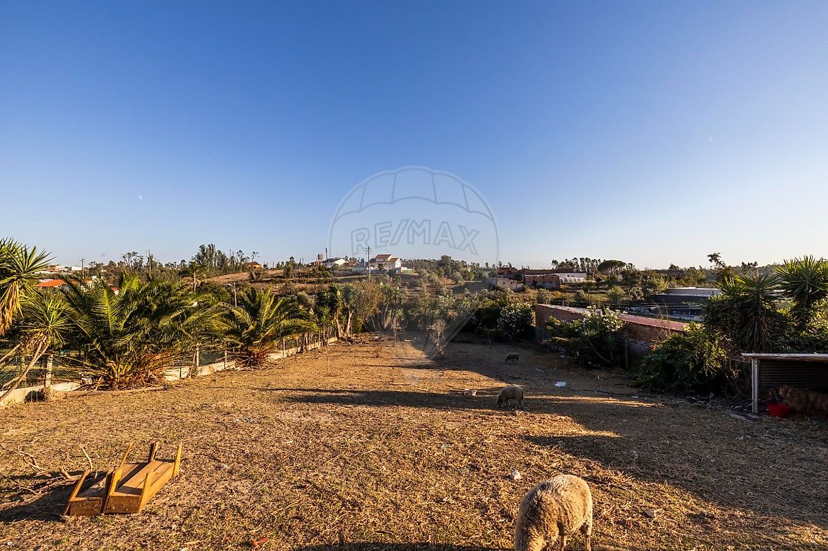 Moradia T4 à venda em Bidoeira de Cima, Leiria — foto 32