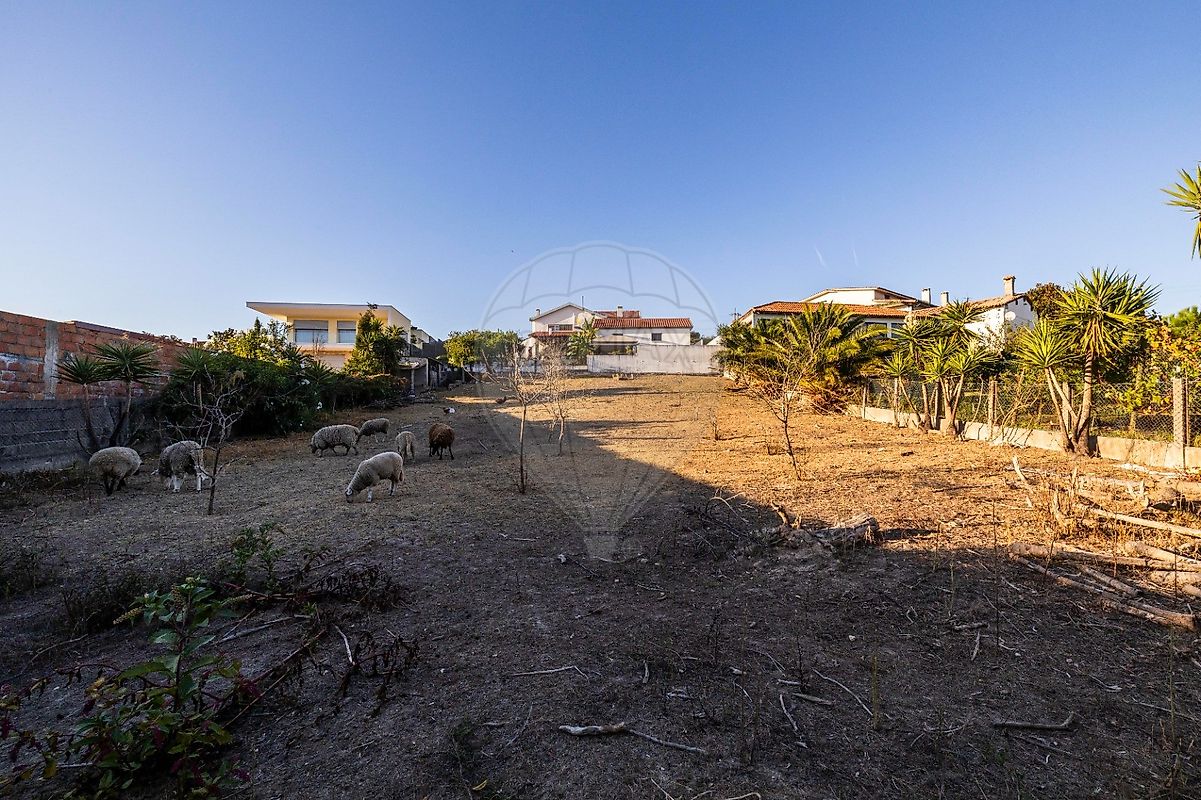 Moradia T4 à venda em Bidoeira de Cima, Leiria — foto 33