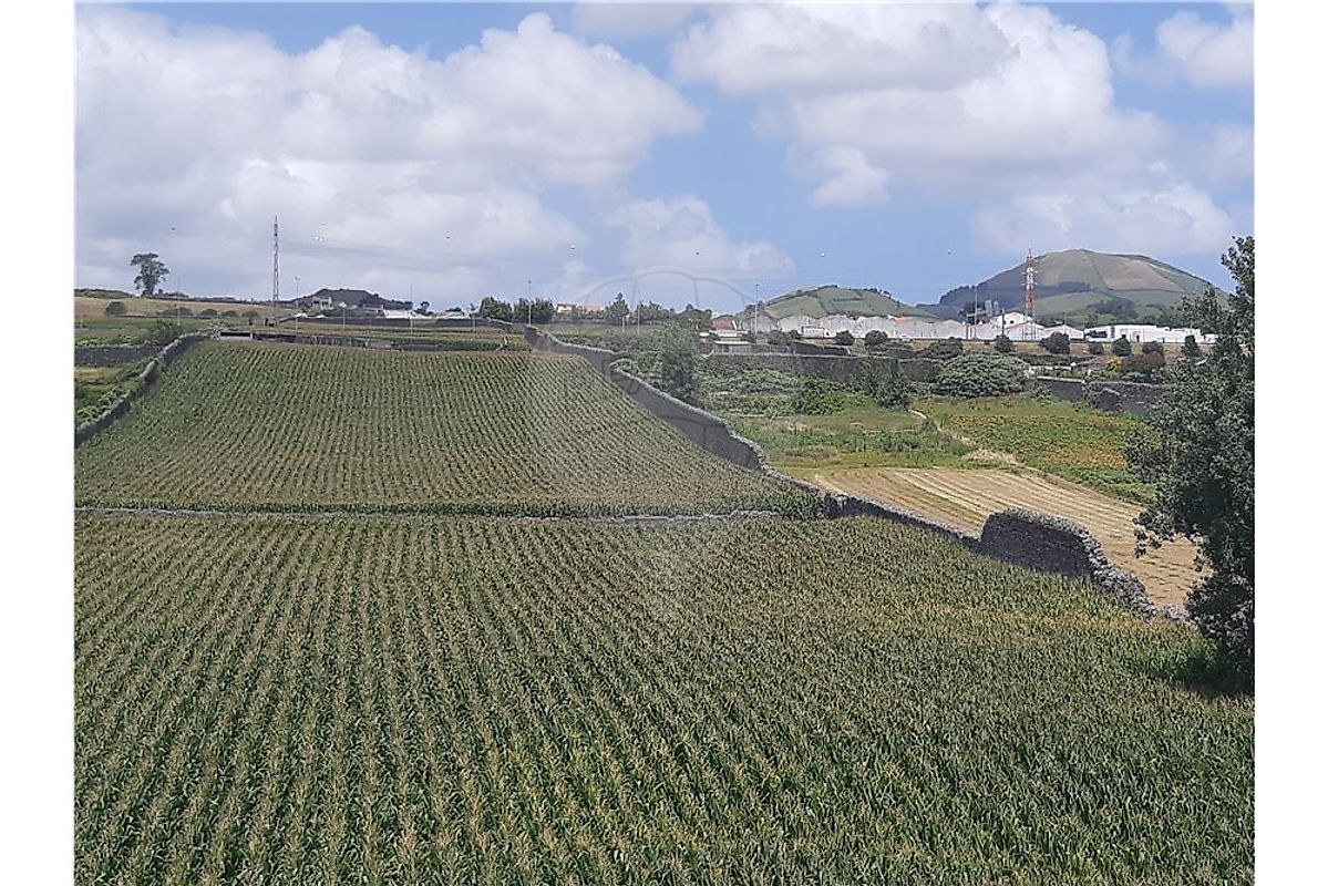 Terreno à venda em Ponta Delgada