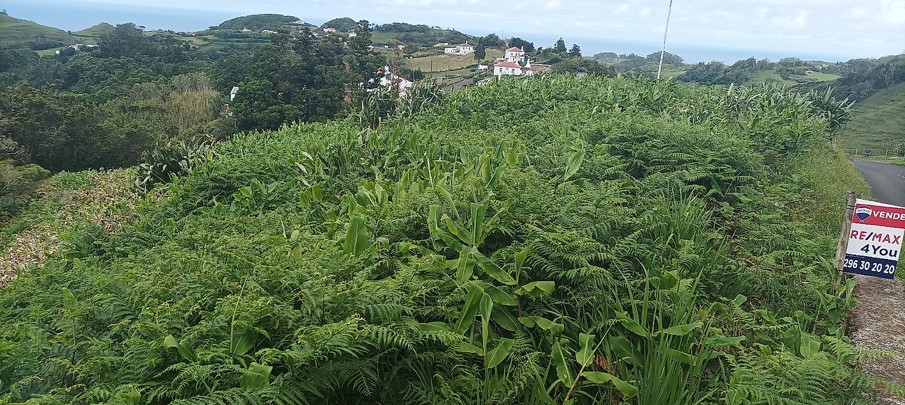 Moradia T0 à venda em Santa Bárbara, Vila do Porto — foto 13