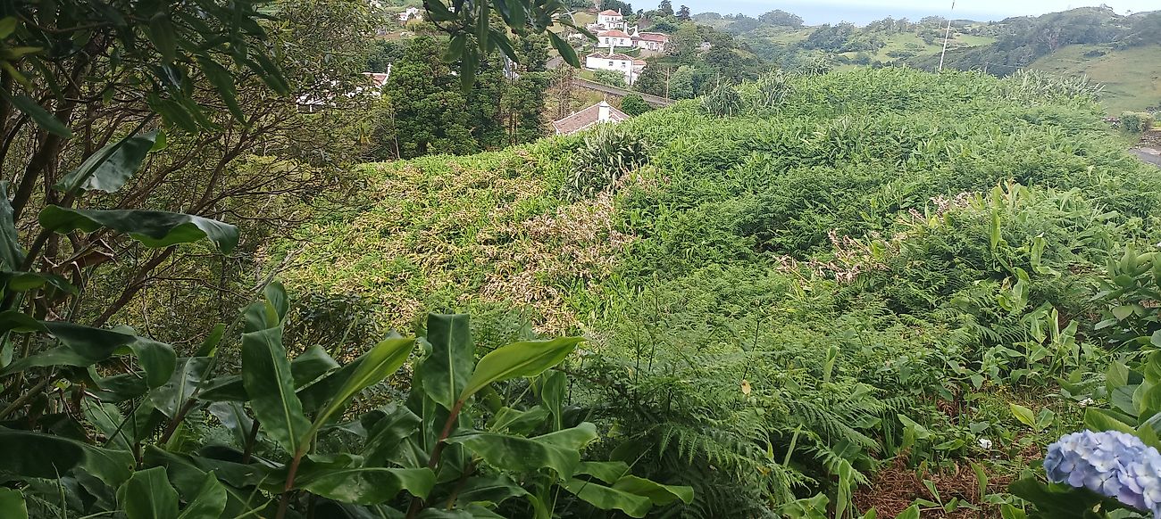 Moradia T0 à venda em Santa Bárbara, Vila do Porto — foto 6