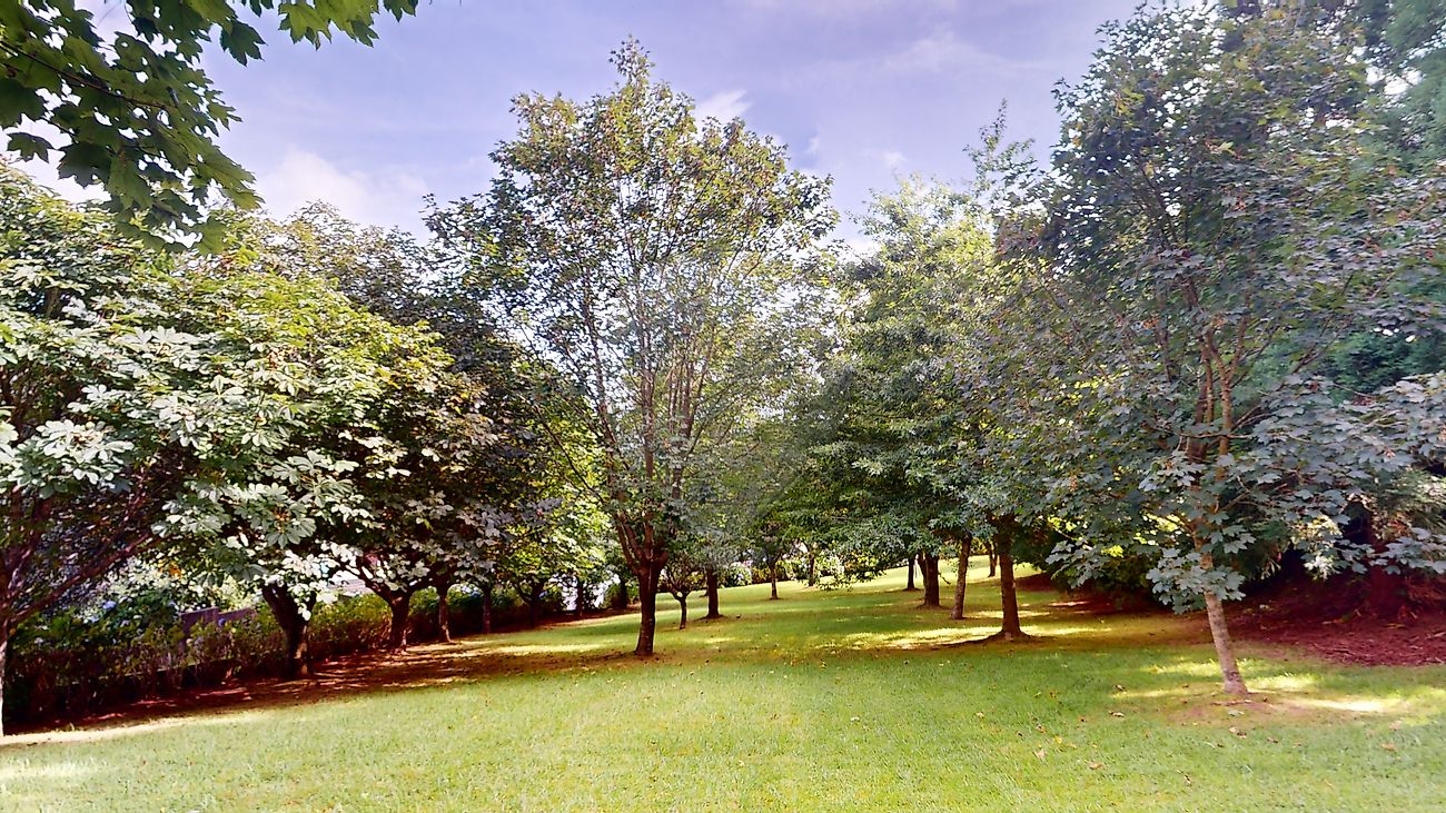 listing 123541125-109 picture-0