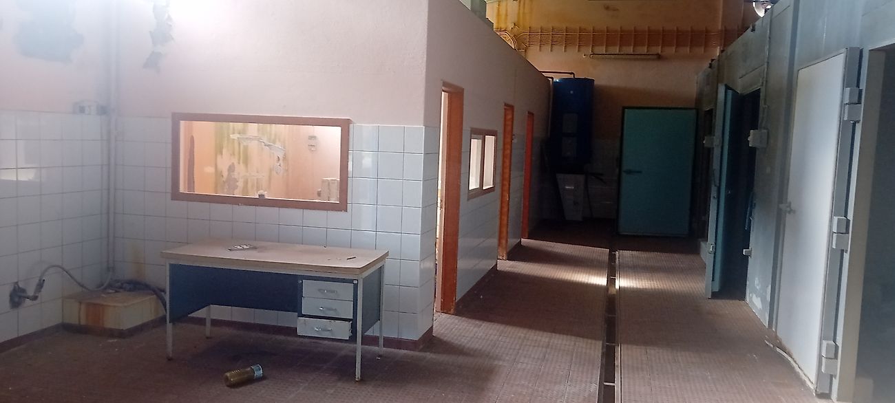 Moradia T0 à venda em Luz (R.A.Açores), Santa Cruz da Graciosa — foto 10