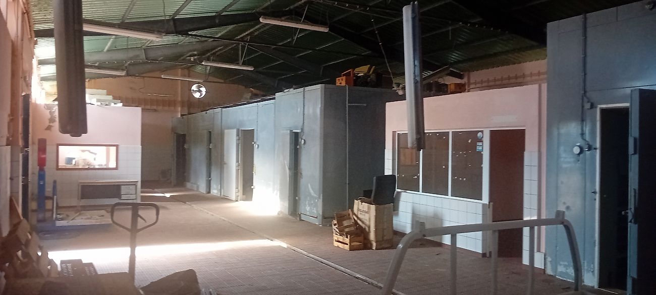 Moradia T0 à venda em Luz (R.A.Açores), Santa Cruz da Graciosa — foto 8