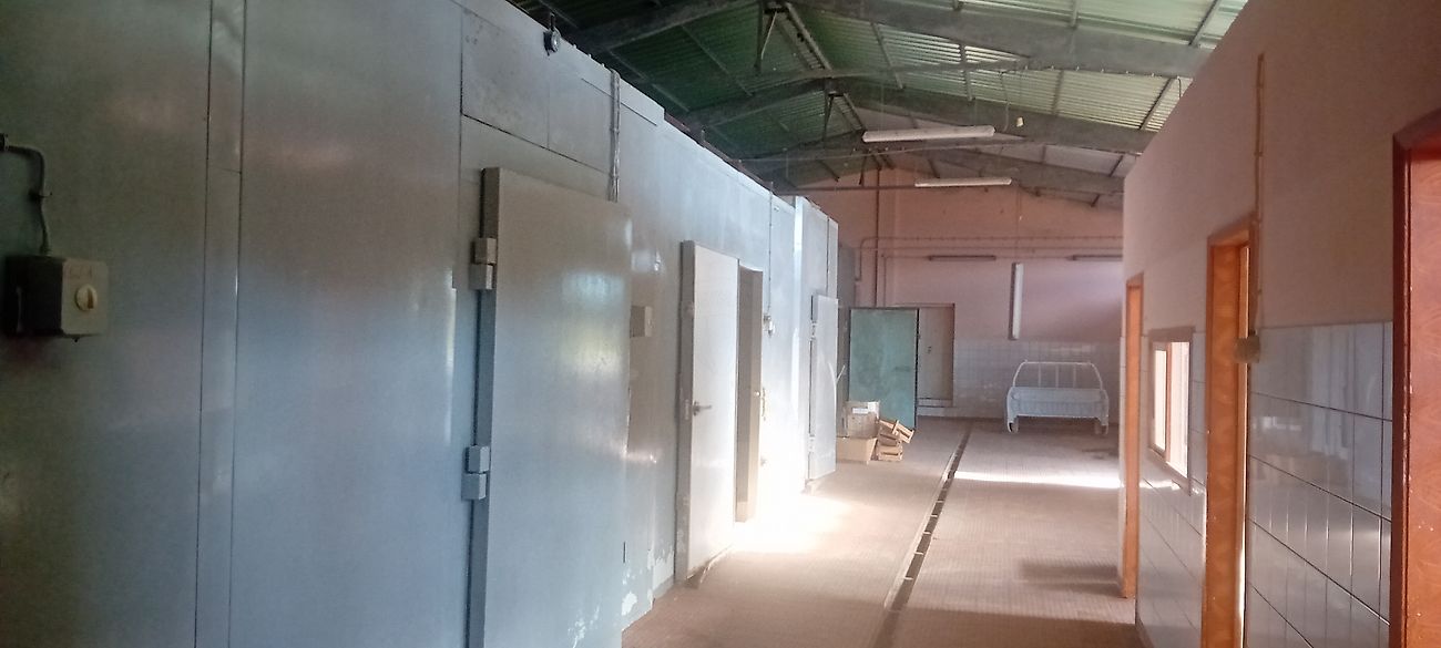 Moradia T0 à venda em Luz (R.A.Açores), Santa Cruz da Graciosa — foto 6