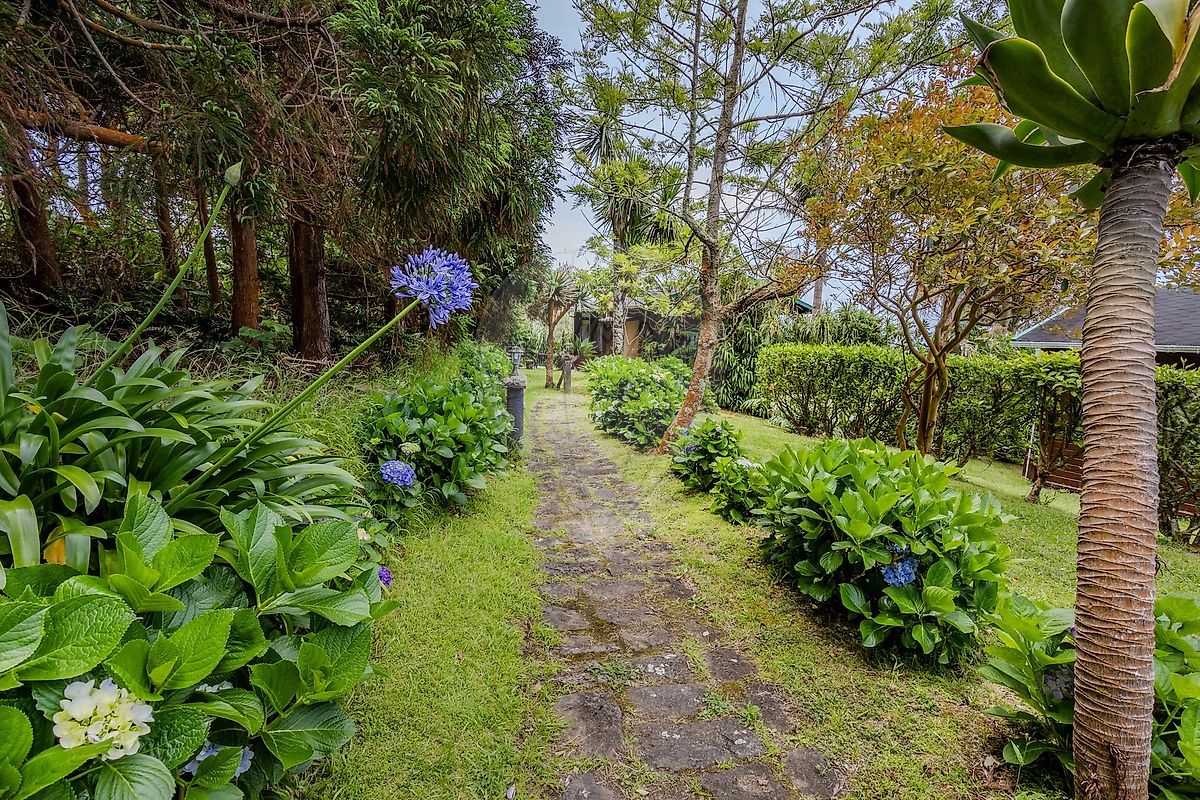 listing 123541125-162 picture-0