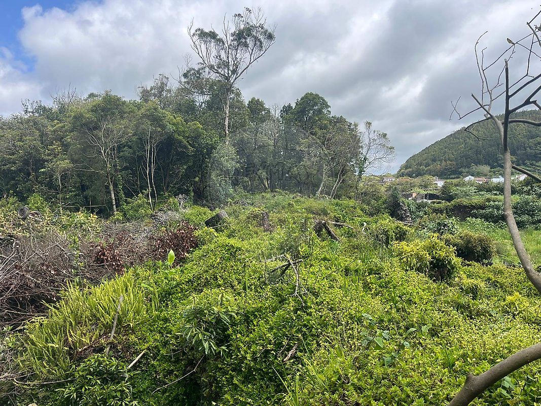 Prédio - Nossa Senhora do Rosário, Lagoa (São Miguel), Ilha de São Miguel