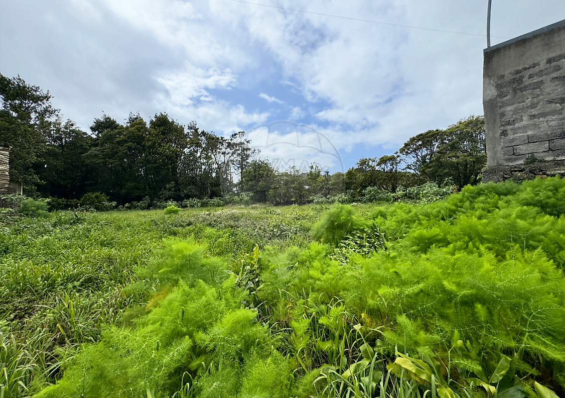 Terreno à venda em Lagoa (São Miguel)