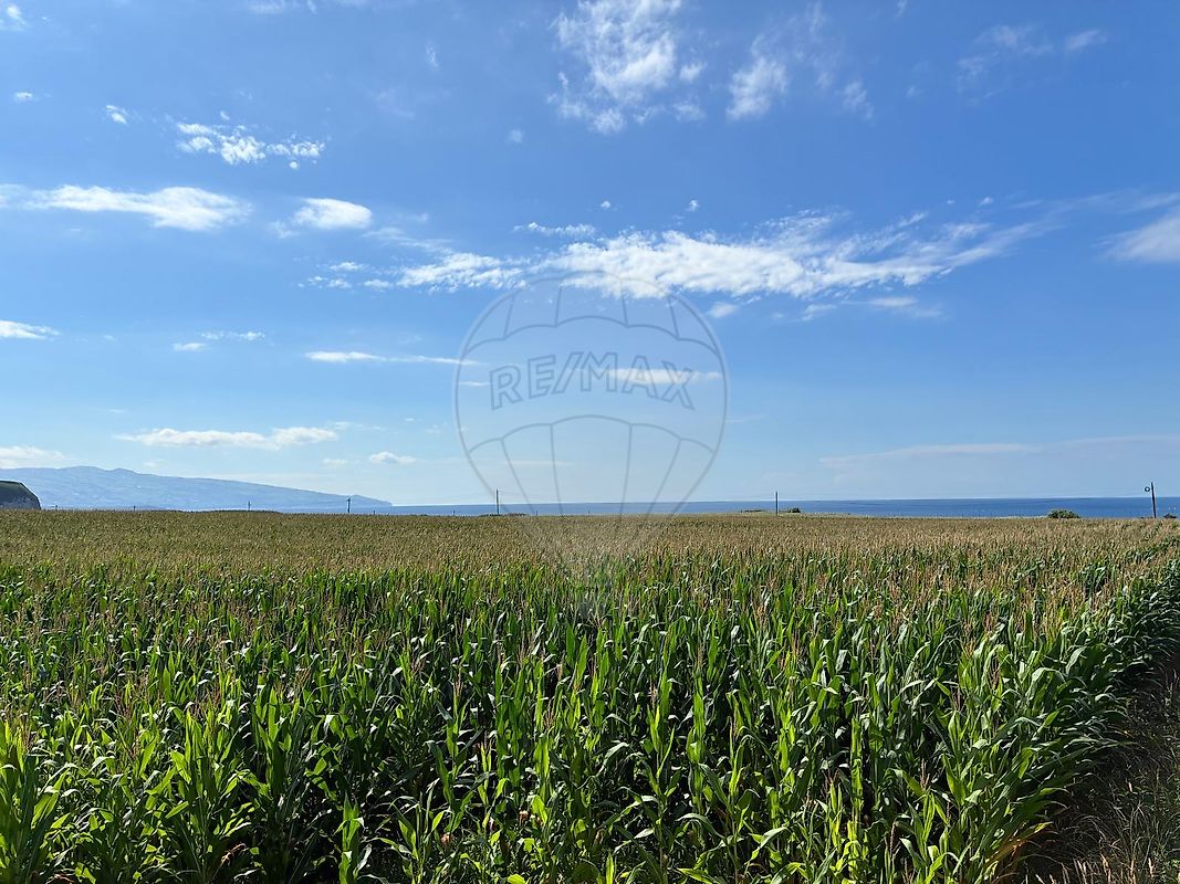 Terreno - Ribeira Seca, Ribeira Grande, Ilha de São Miguel