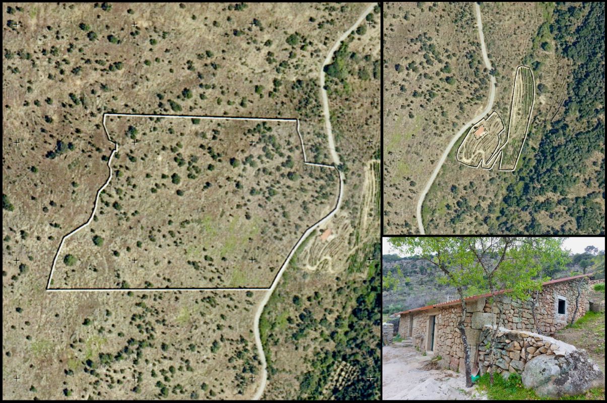 Terreno  para venda