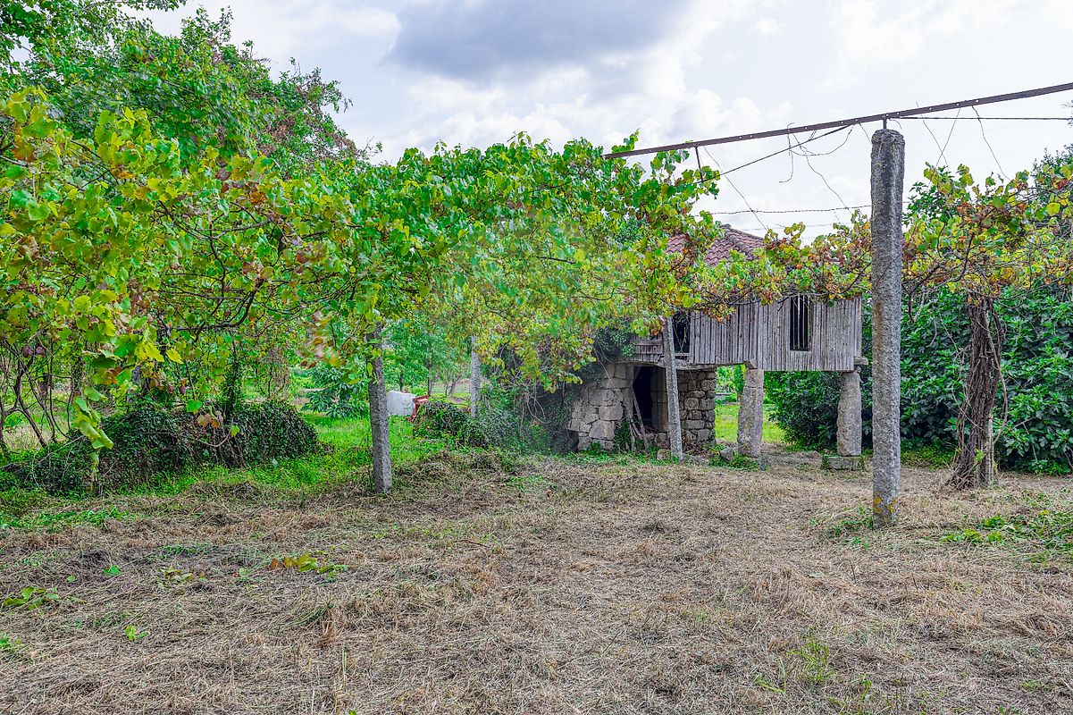 listing-picture-0