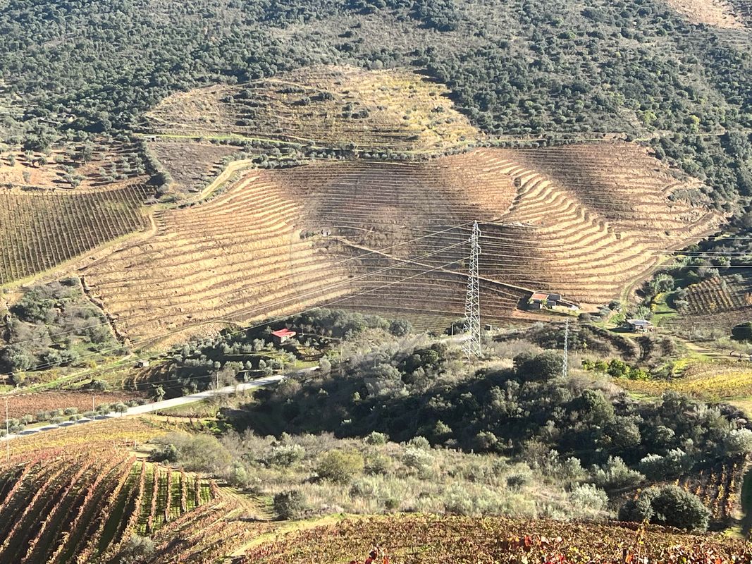 Herdade  para venda