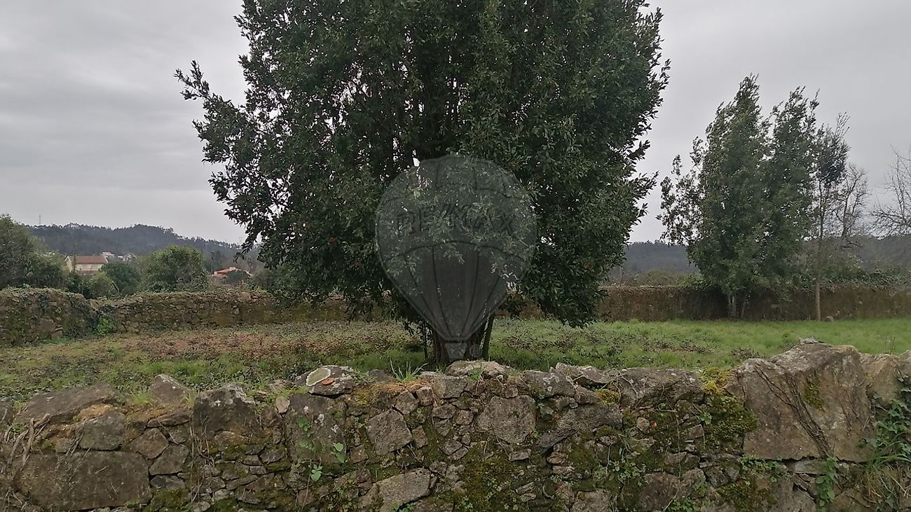 Land for sale in Oliveira de Azeméis, Portugal — €60,000