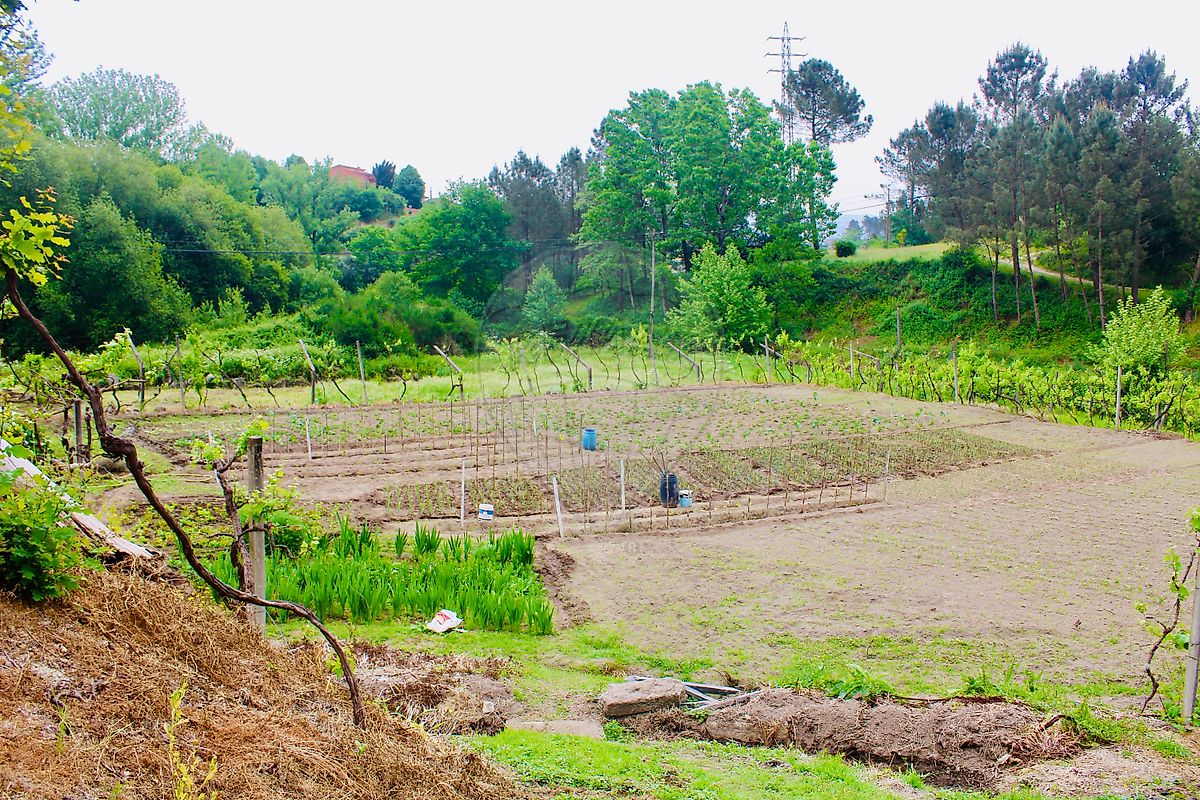 Moradia T1 à venda em Constance, Marco de Canaveses — foto 8