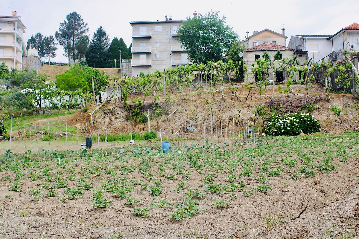 Moradia T1 à venda em Constance, Marco de Canaveses — foto 5