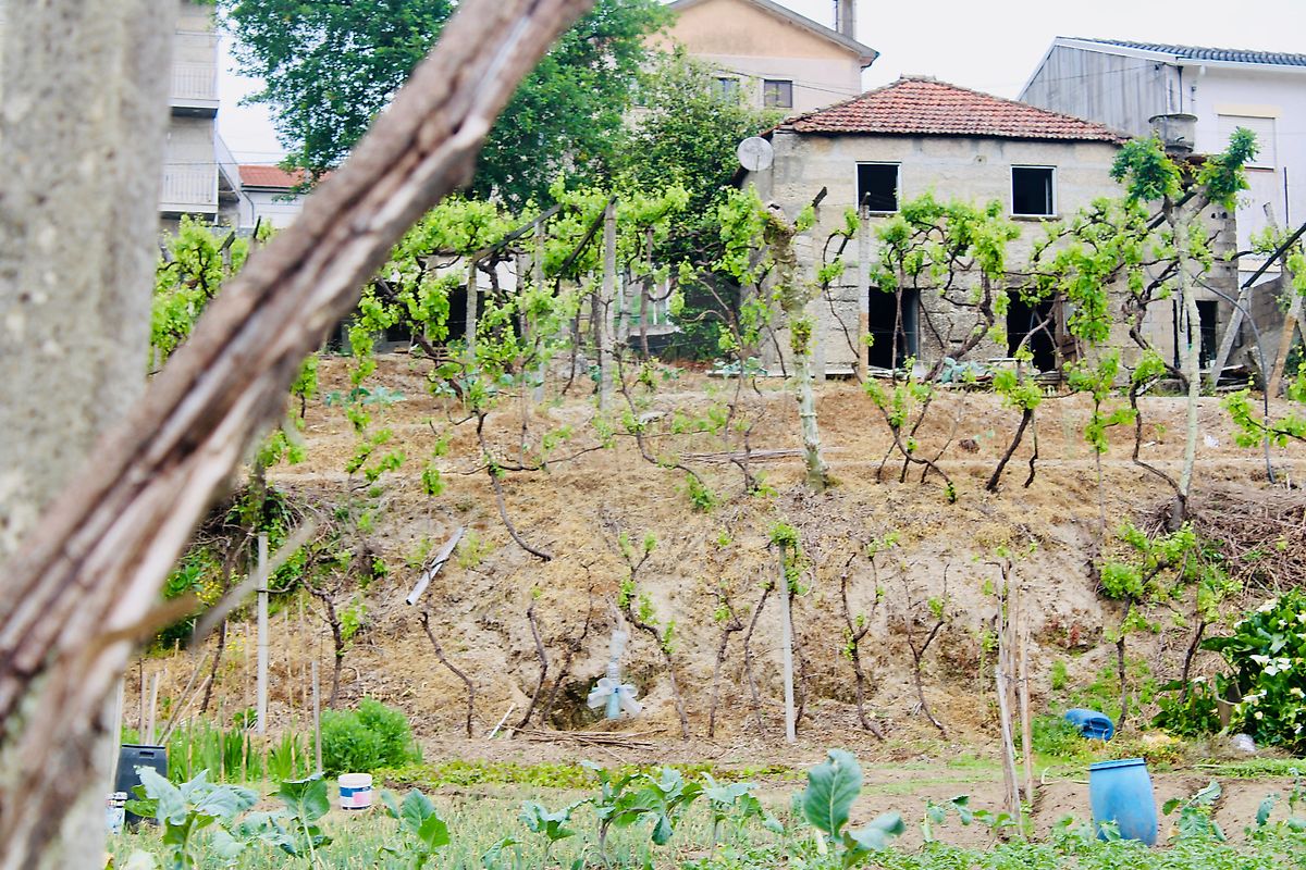 Moradia T1 à venda em Constance, Marco de Canaveses — foto 7