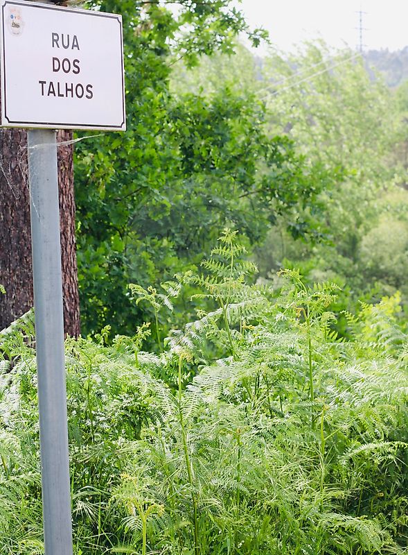 Moradia T1 à venda em Constance, Marco de Canaveses — foto 2