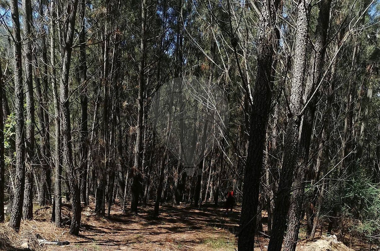 Terreno  para venda