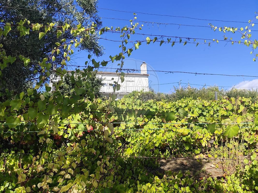 Moradia T3 para venda