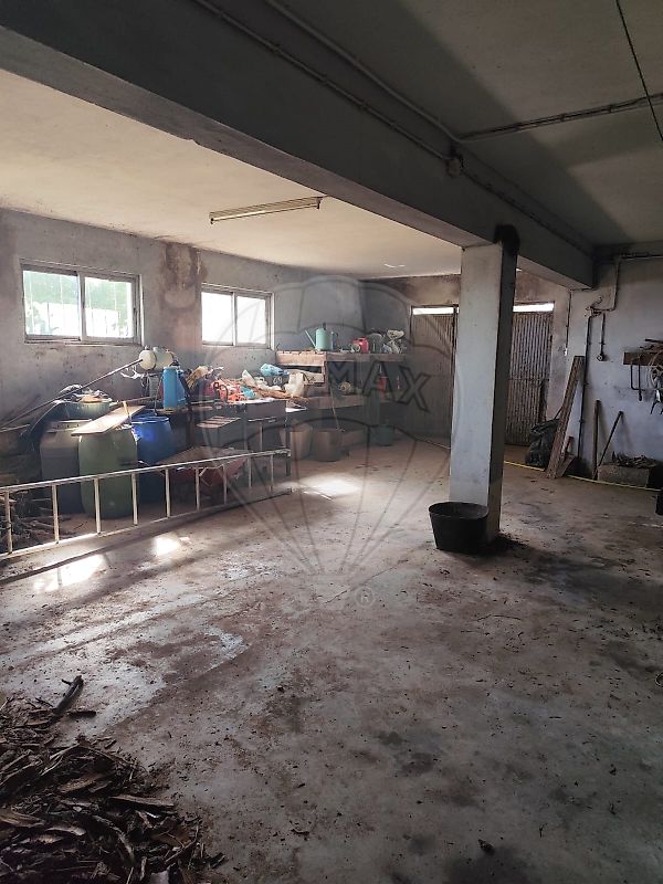 Moradia T3 à venda em Celeirós, Sabrosa — foto 19