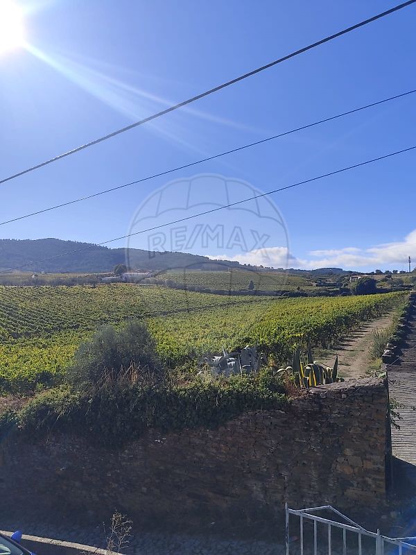 Moradia T3 à venda em Celeirós, Sabrosa — foto 15