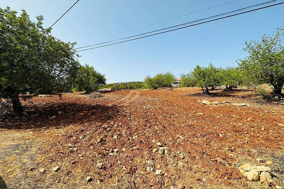 Terreno  à venda em Faro