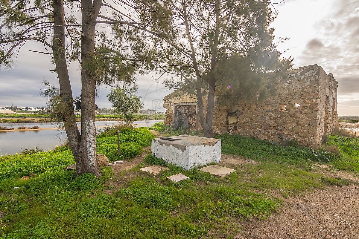 listing 123561153-4 picture-0