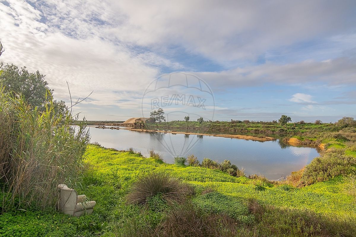listing 123561153-4 picture-0