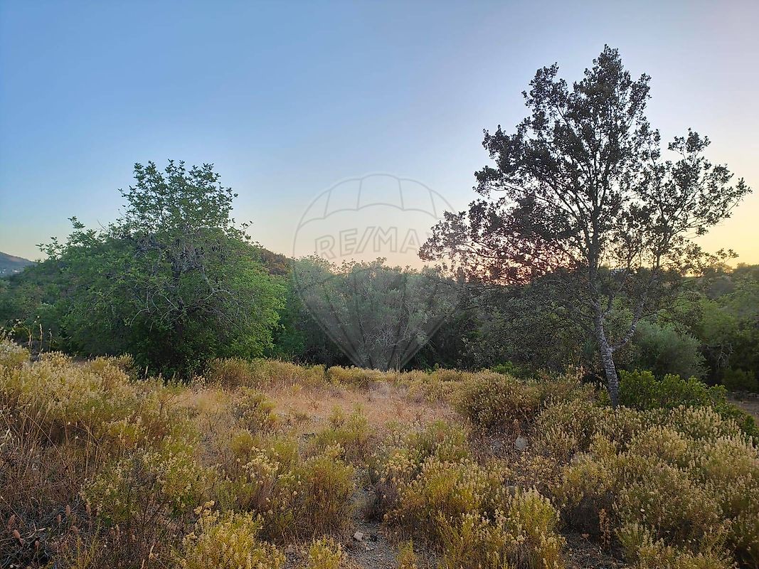 listing 123561074-61 picture-0