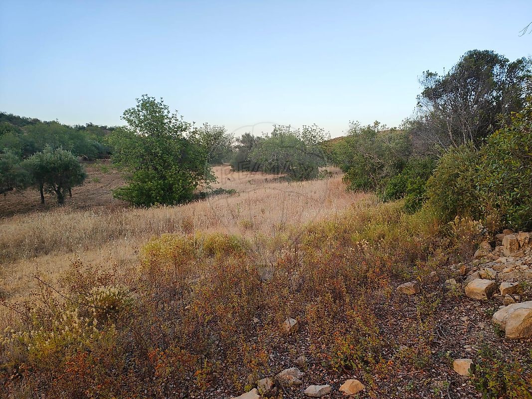 listing 123561074-61 picture-0