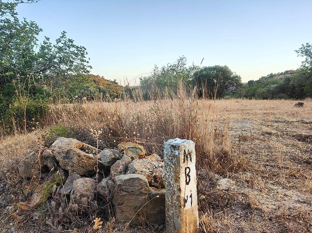 listing 123561074-61 picture-0