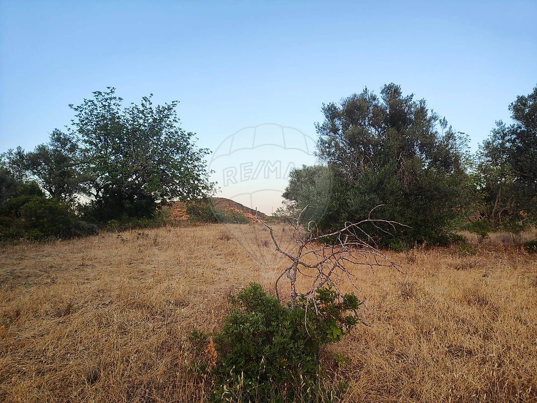 listing 123561074-61 picture-0