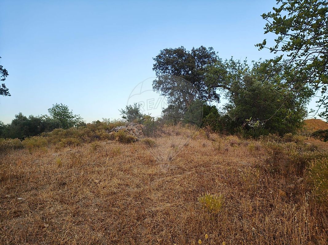 listing 123561074-61 picture-0