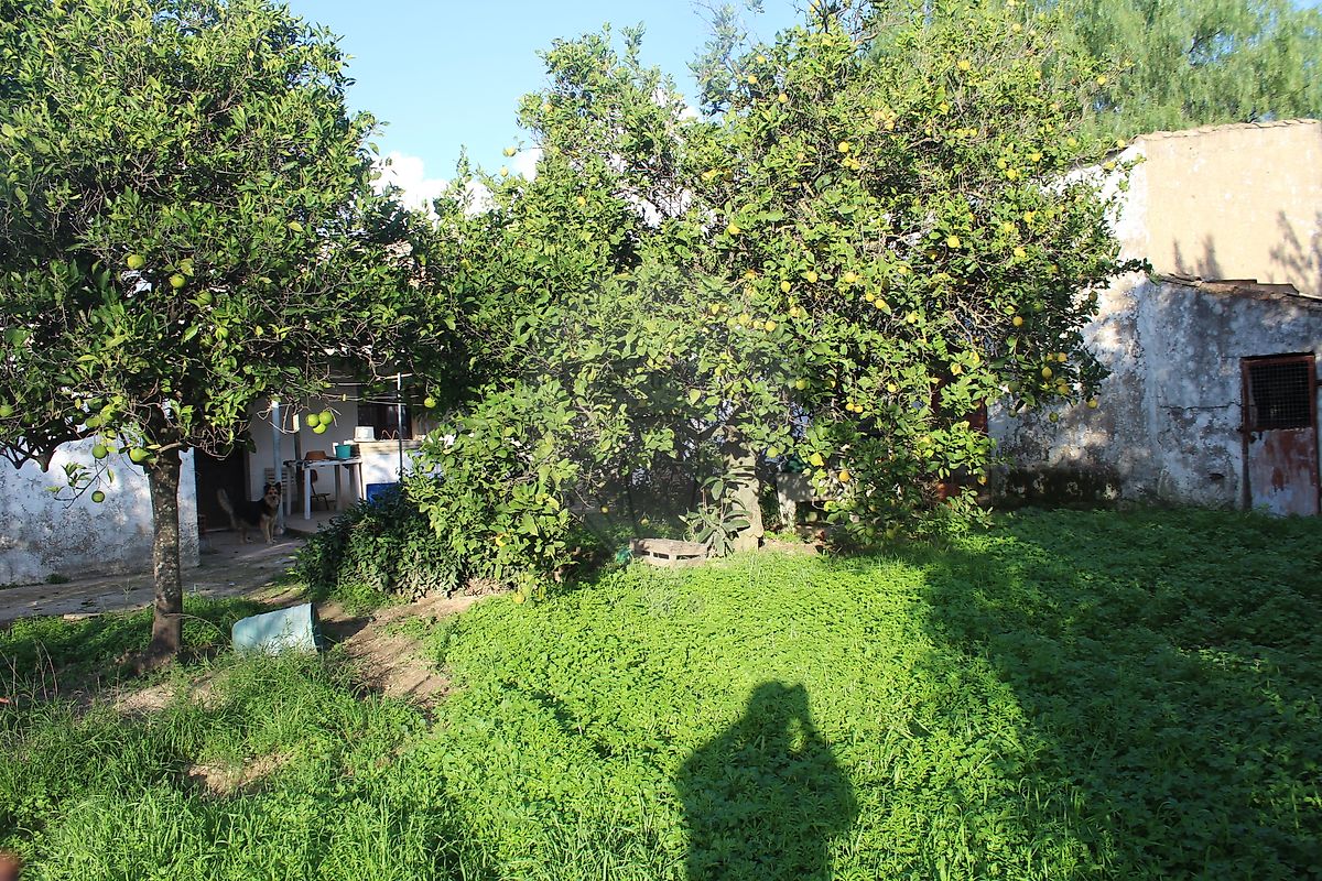 listing 123561123-46 picture-0