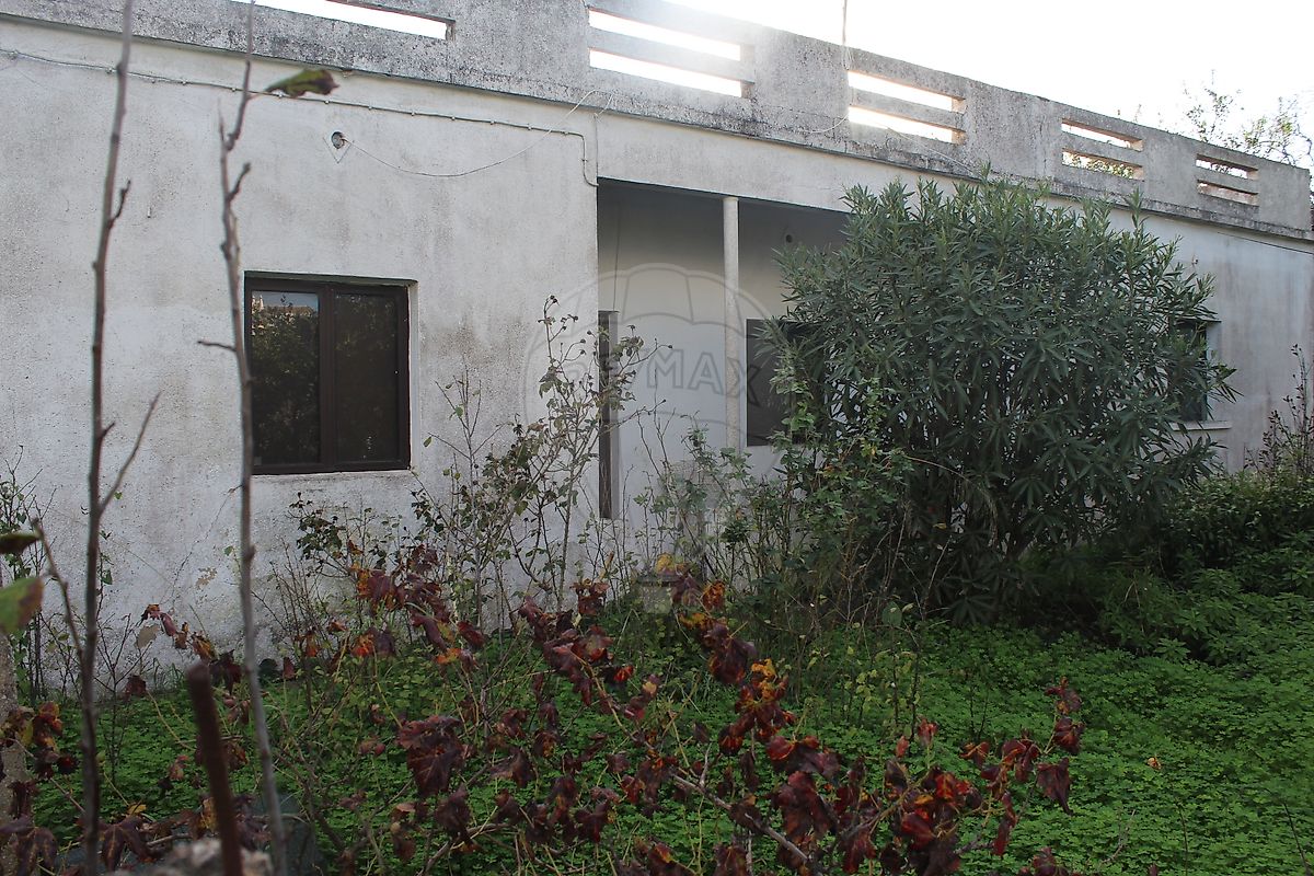 listing 123561123-46 picture-0
