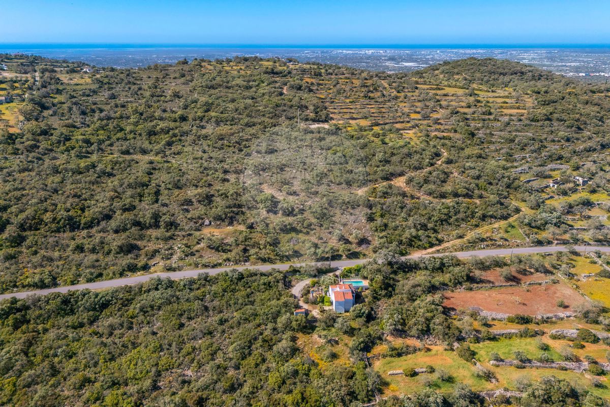 listing 123561111-25 picture-0