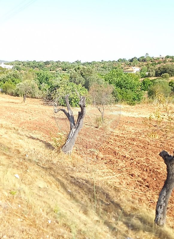 Terreno para venda