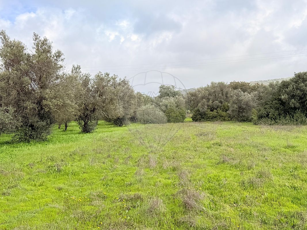 Terreno - Paderne, Albufeira, Faro