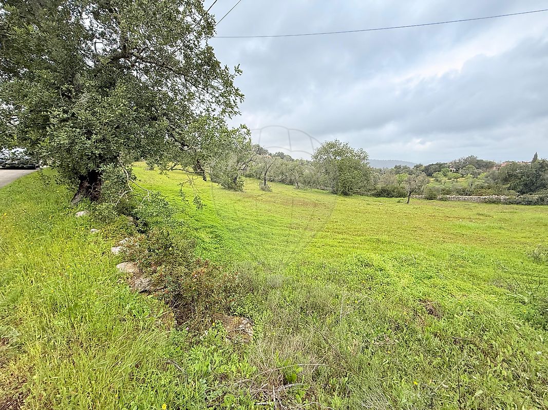 Terreno à venda em Loulé