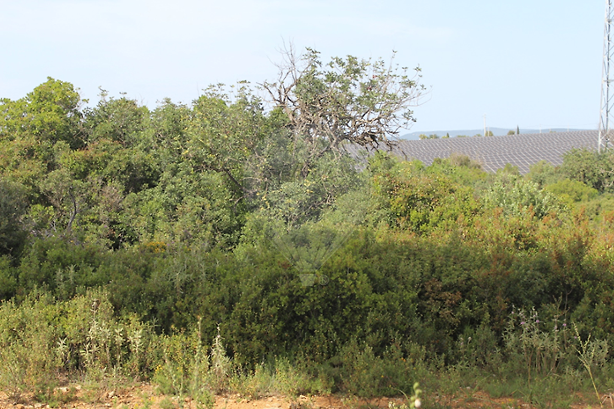 Terreno - Paderne, Albufeira, Faro