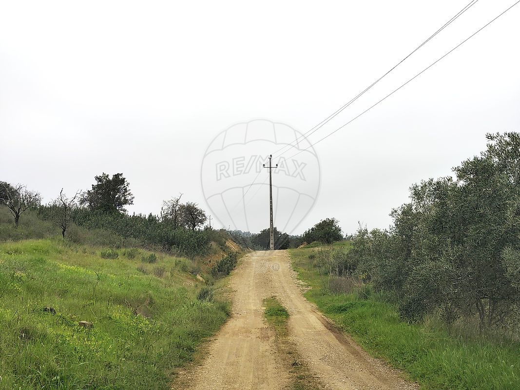 Moradia T3 à venda em Martim Longo, Alcoutim — foto 15