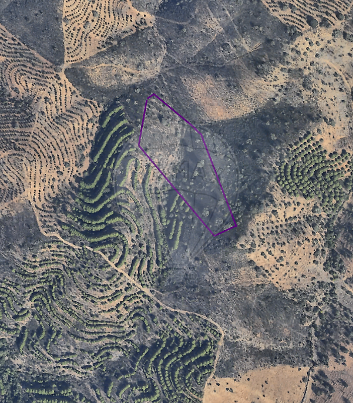 Terreno - Martim Longo, Alcoutim, Faro