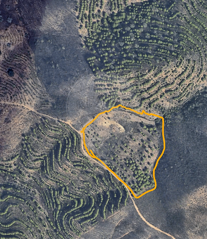 Terreno - Martim Longo, Alcoutim, Faro