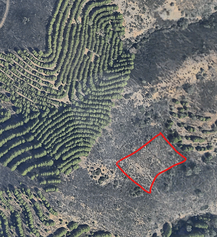 Terreno - Martim Longo, Alcoutim, Faro