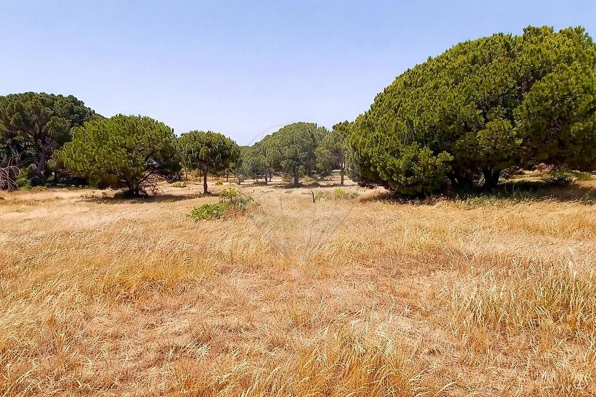 Terreno à venda em Loulé