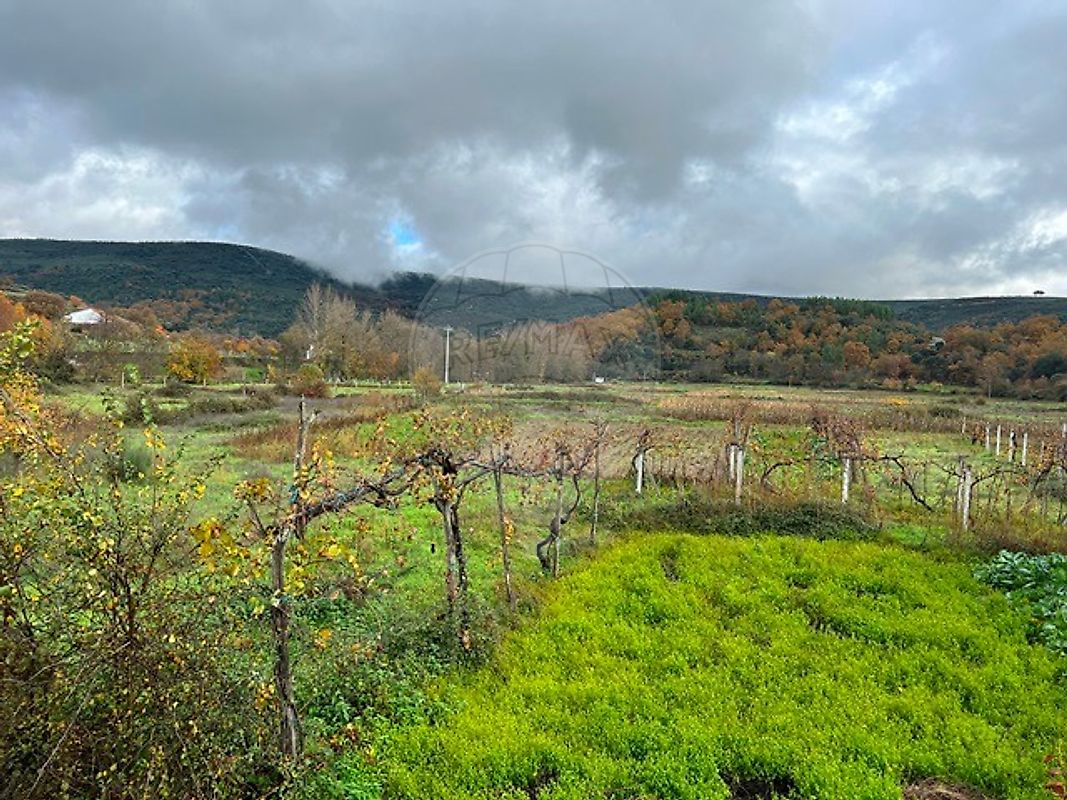 Moradia T4 à venda em França, Bragança — foto 16