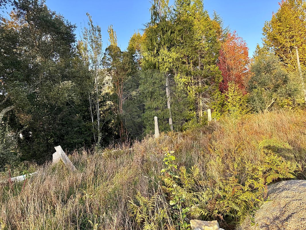 listing 123571280-72 picture-0